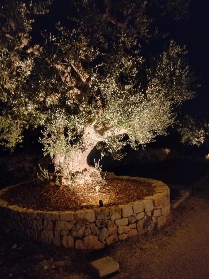 Il Nido Delle Rondini Villa Cisternino Exterior photo